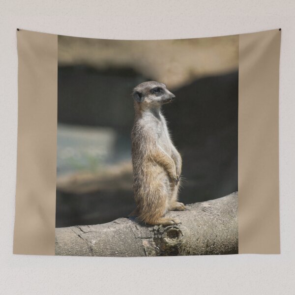 Item preview, Meerkat designed and sold by Vac1.
