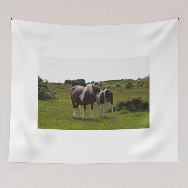 Item preview, Bodmin Moor Ponies designed and sold by lezvee.