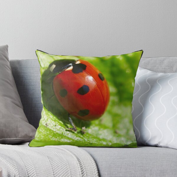 Item preview, Ladybird Shine designed and sold by EventHorizon.