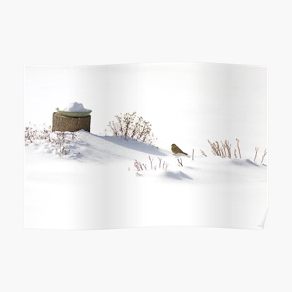 Softly White Poster