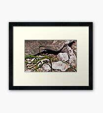 habitat Framed Print