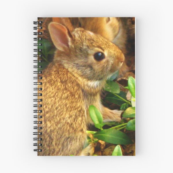 Item preview, Two Minuscule Bunnies designed and sold by artwhiz47.