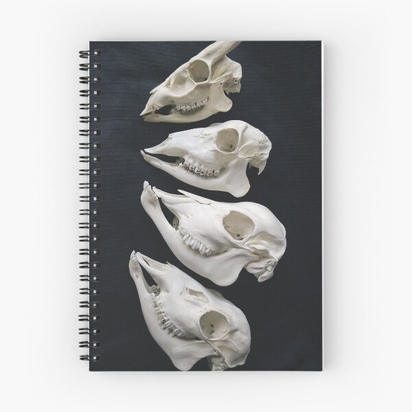 Item preview, Ruminating designed and sold by Wilko92.