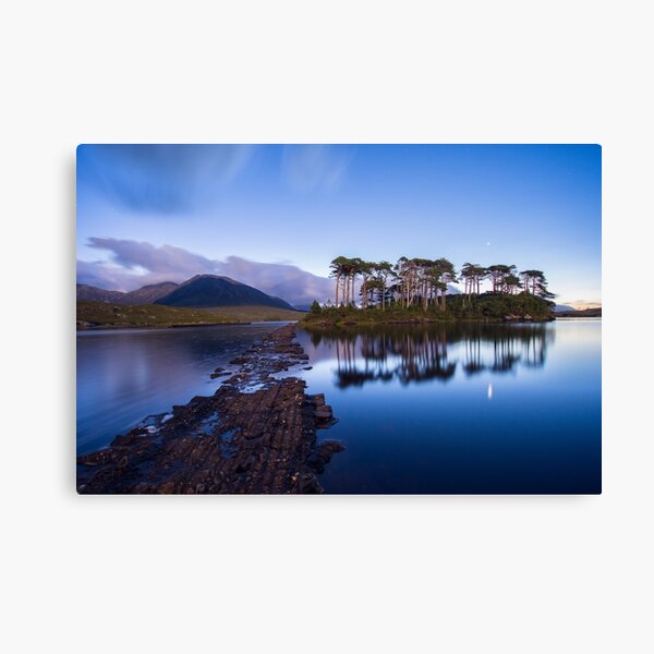 Pine Island in the light of a full moon, Galway, Ireland Canvas Print