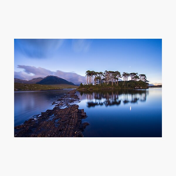 Pine Island in the light of a full moon, Galway, Ireland Photographic Print