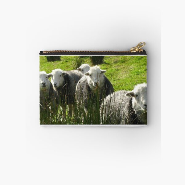 Aperçu de l'œuvre Encore plus Herdwicks ~ Leac Na Ban, Argyll, Écosse créée et vendue par artwhiz47.
