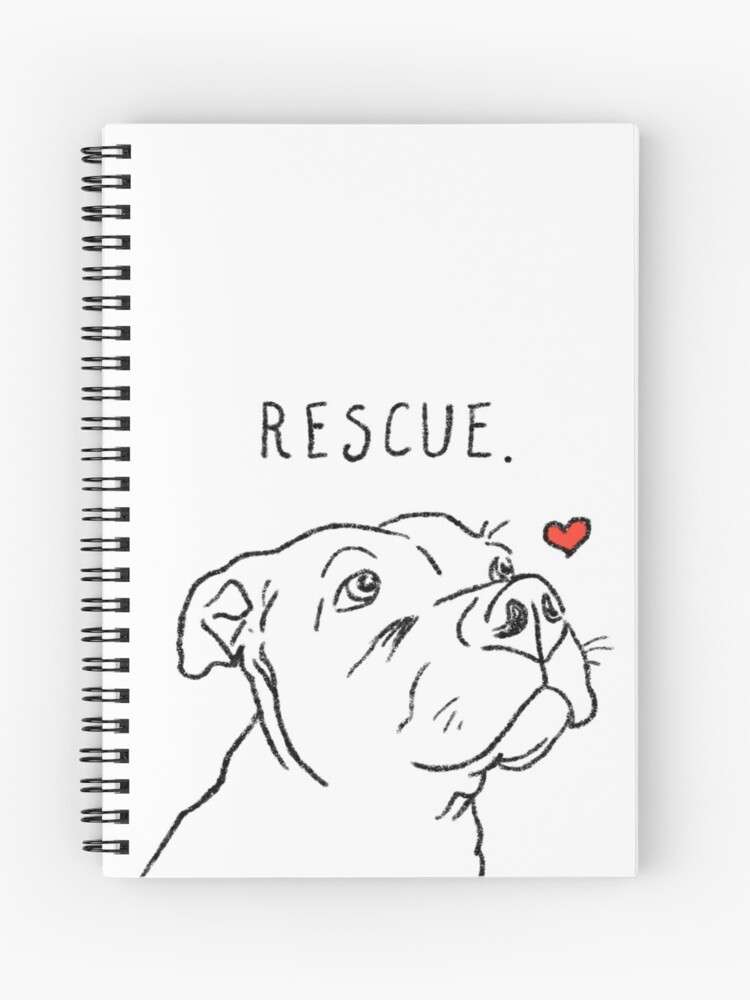 Rescue Pitbull, Pit Bull Lovers, Pittie, Pibble, Cute Pitbull