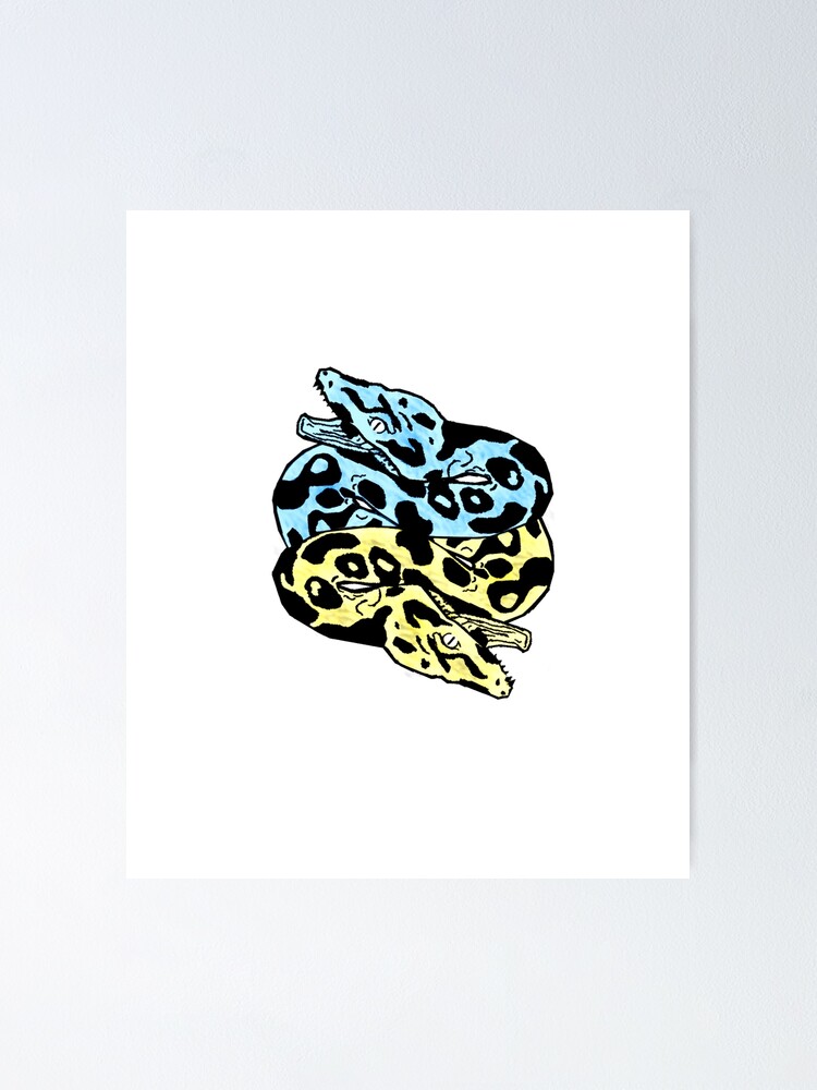"Python Programming - Only Pythons" Poster by northernaz | Redbubble