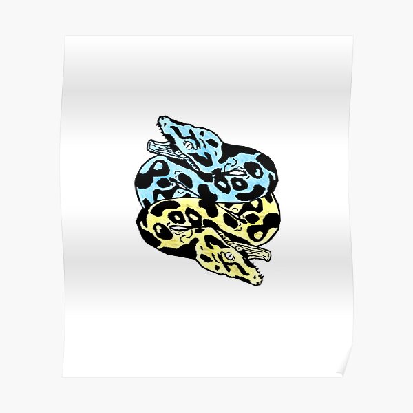 "Python Programming - Only Pythons" Poster by northernaz | Redbubble