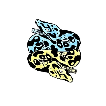Artwork thumbnail, Python Programming - Only Pythons by northernaz
