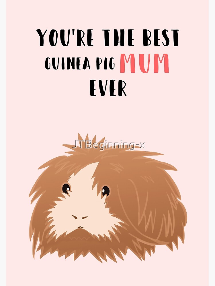 Guinea Pig Mom Guinea Pig Mom