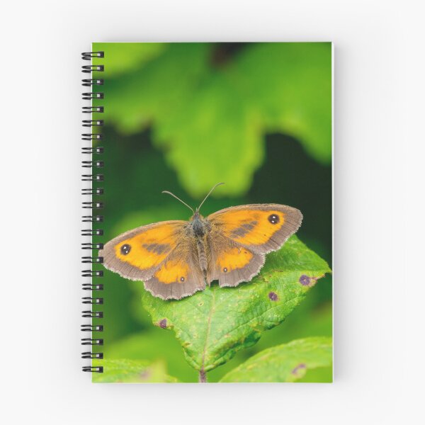 Item preview, Gatekeeper butterfly on a leaf designed and sold by iCimages.net.