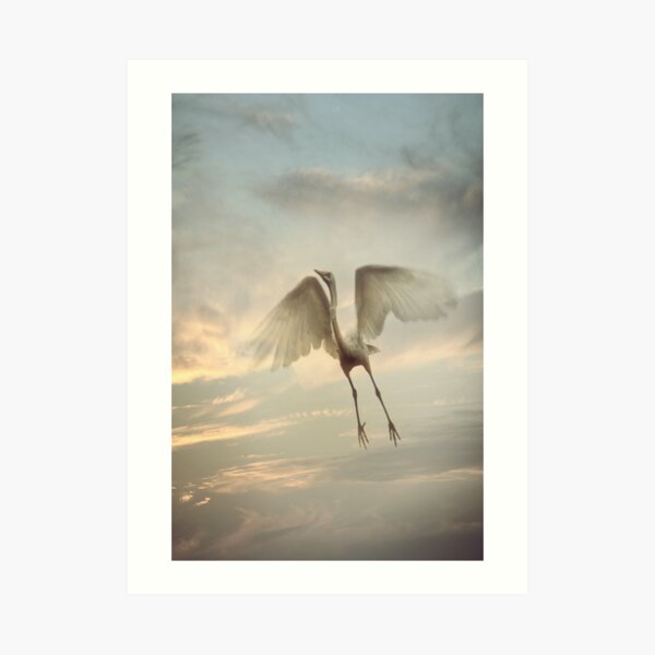 Euphoria Art Print