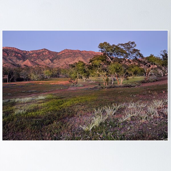 Item preview, Dawn at the Heysen Range designed and sold by Peter Hammer.