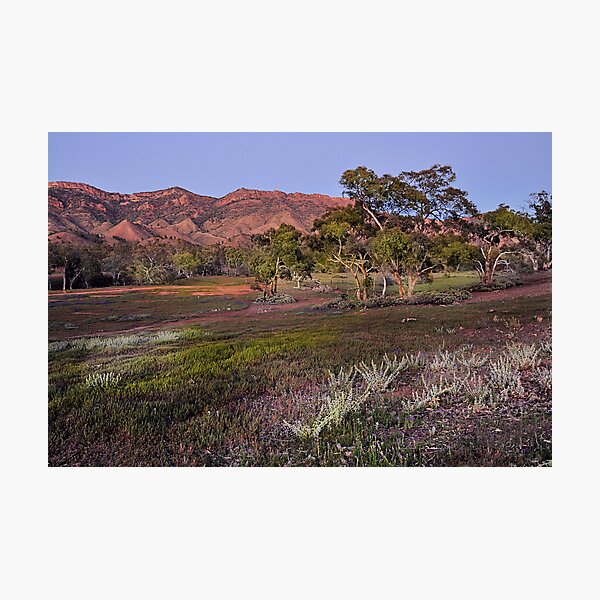 Item preview, Dawn at the Heysen Range designed and sold by Peter Hammer.