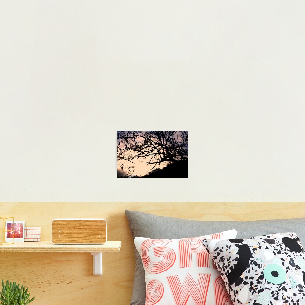 Item preview, Photographic Print designed and sold by shrdn.