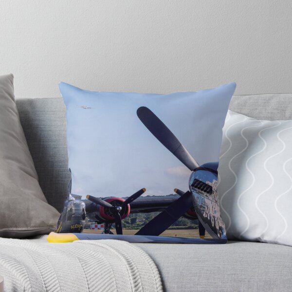 Item preview, Flying Back designed and sold by JoeGeraci.