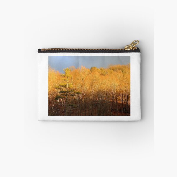 Item preview, Sundrenched Trees designed and sold by vette.