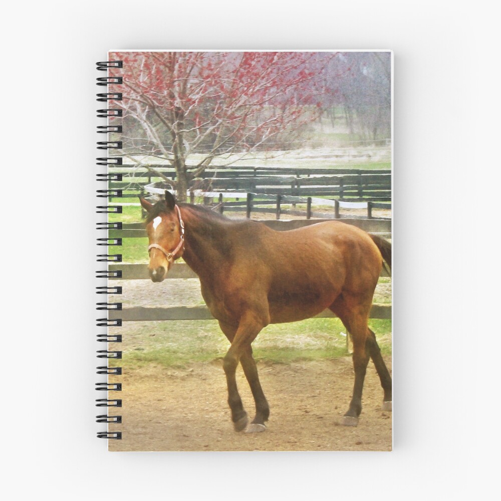 Item preview, Spiral Notebook designed and sold by MsTique.
