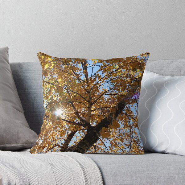 Item preview, Birch Trees in Sunlight designed and sold by Kelley Shannon.