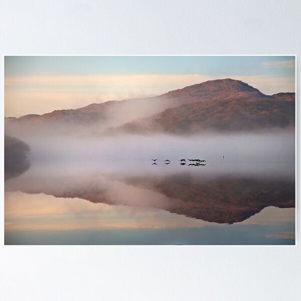 Item preview, Geese flyby designed and sold by Shaun Whiteman.