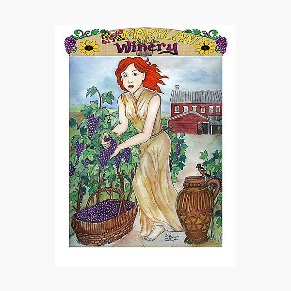 Maryland Winery Photographic Print
