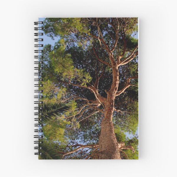 Item preview, Pollensa Pine Tree designed and sold by Wrayzo.