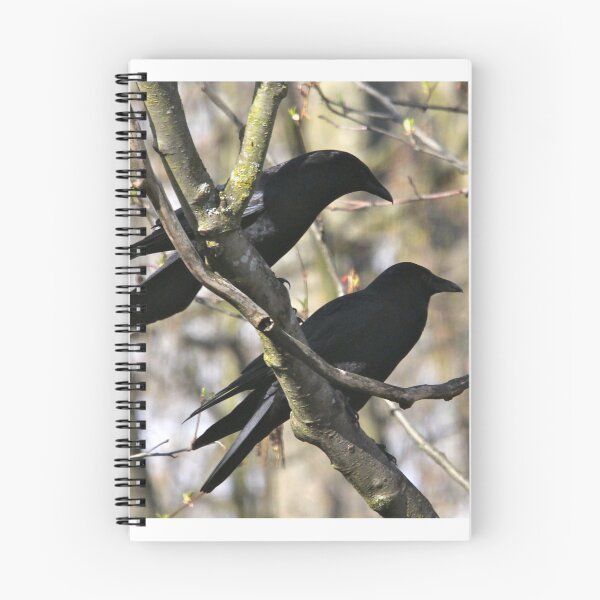 Item preview, Crow Pair in Springtime   designed and sold by RichImage.