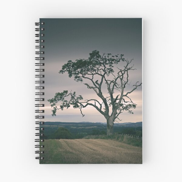 Item preview, Tree, Muthill designed and sold by ShinyPhoto.