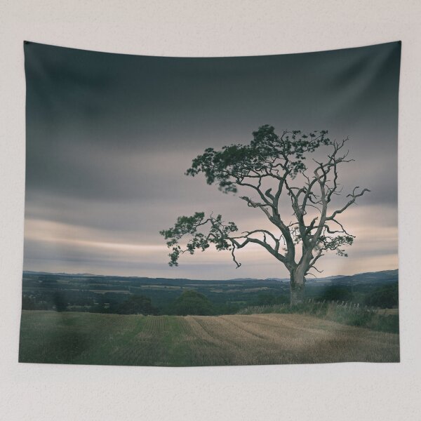 Item preview, Tree, Muthill designed and sold by ShinyPhoto.