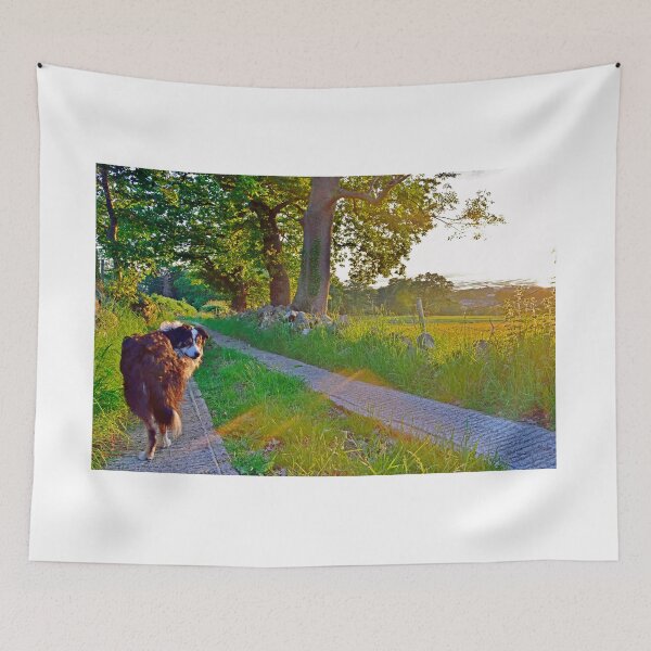 Item preview, Last of the Light. designed and sold by Michael Haslam.