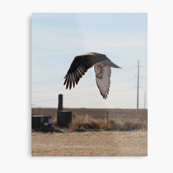 Face in the Wings Metal Print