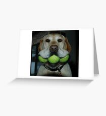 Rosie.. Greeting Card