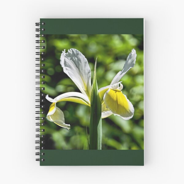 Item preview, Yellow-White Iris designed and sold by Dorset Girl.