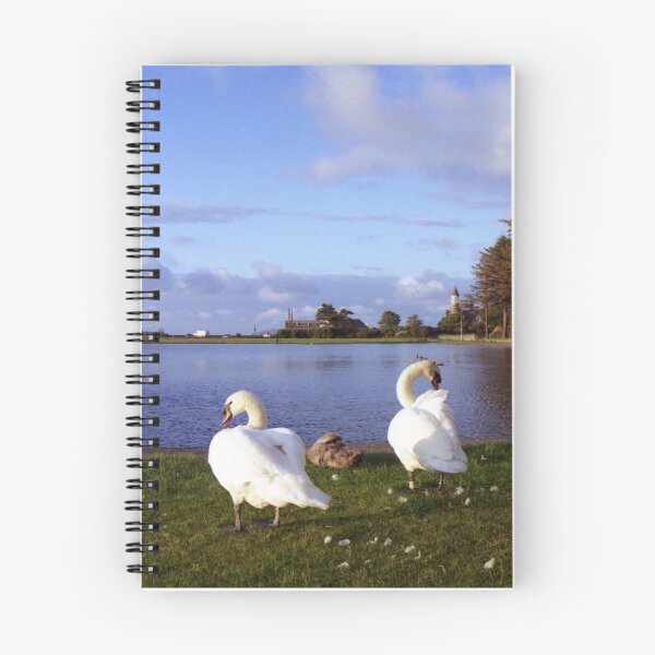 Item preview, Family gathering. designed and sold by Michael Haslam.