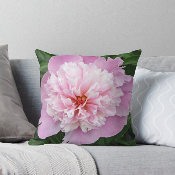 Item preview, Pink Petticoat Peony designed and sold by Kelley Shannon.