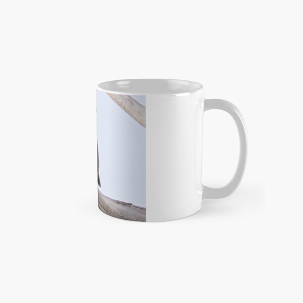 WATERFOWL ~ Maned Wood Duck by David Irwin Classic Mug