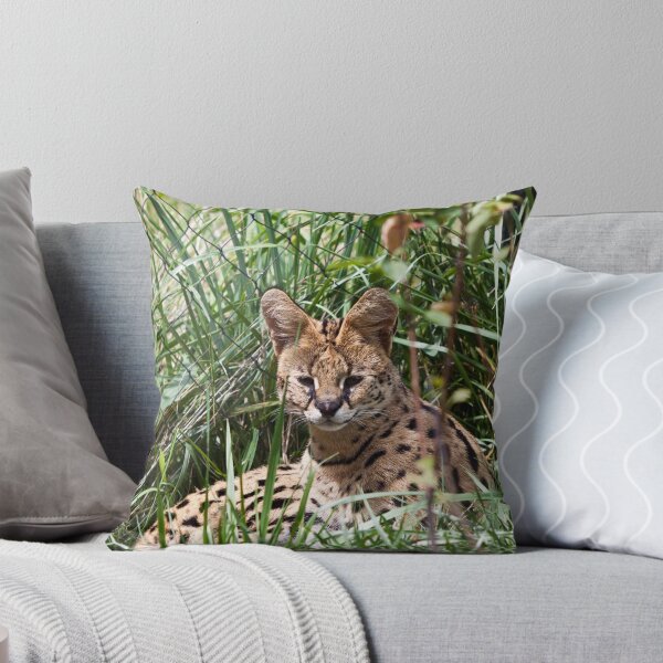 Item preview, Serval designed and sold by eegibson.