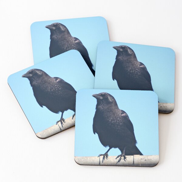Item preview, Curiosity and the crow... designed and sold by RichImage.