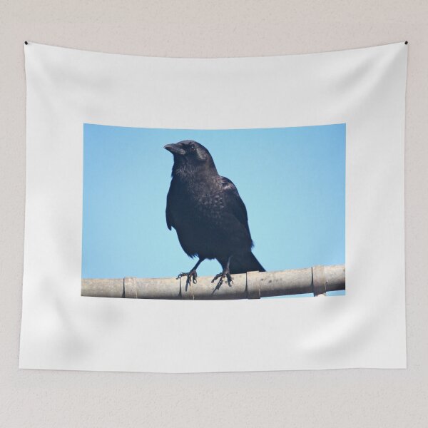 Item preview, Curiosity and the crow... designed and sold by RichImage.