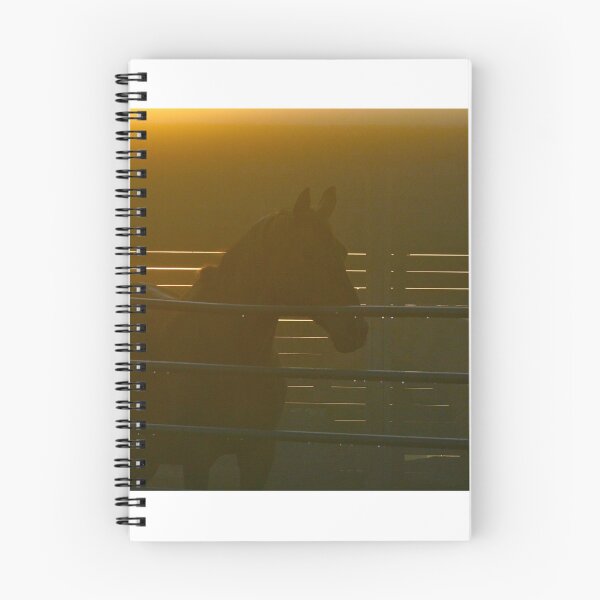 Item preview, The Paddock in Morning Fog  designed and sold by RichImage.