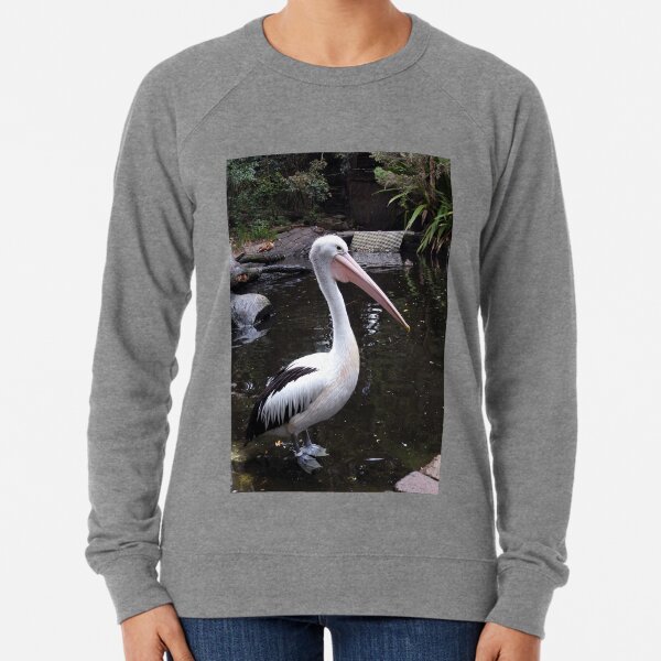 Australian Pelican Lightweight Sweatshirt