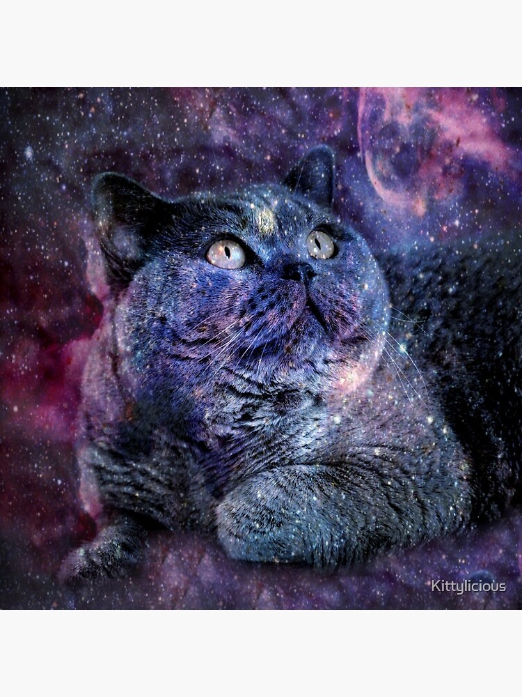 Kittylicious Space Cat by Kittylicious