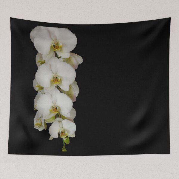Item preview, White Orchids designed and sold by plantlegend.