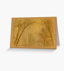 Landscapes! Greeting Card