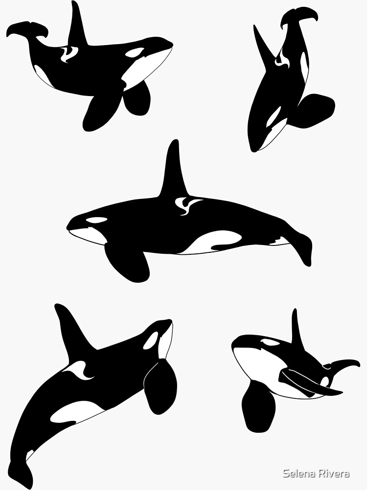 "Male killer whale pack" Sticker for Sale by savagerman Redbubble