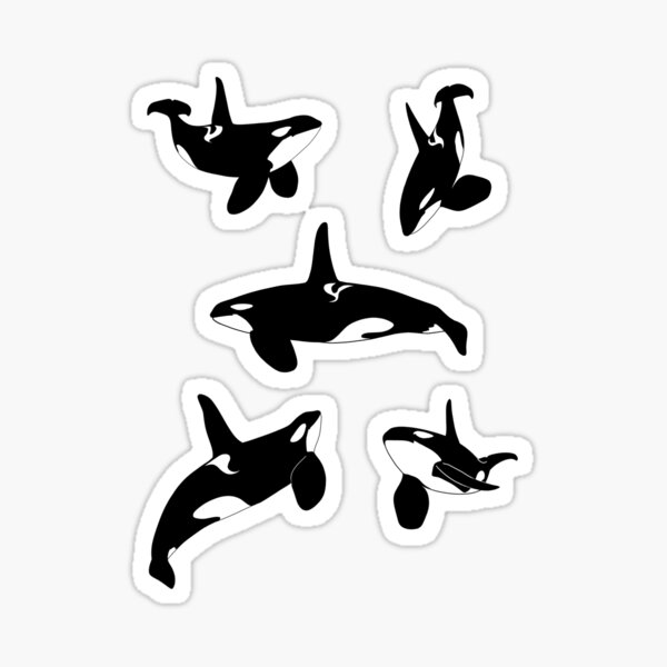 "Male killer whale pack" Sticker for Sale by savagerman Redbubble