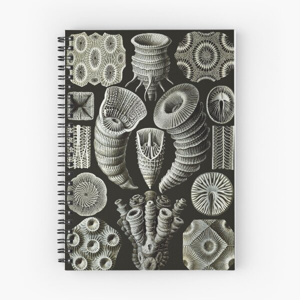 Item preview, Ernst Haeckel - Tetracoralla (Corals) designed and sold by ShaMiLaB.