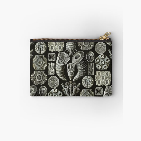 Item preview, Ernst Haeckel - Tetracoralla (Corals) designed and sold by ShaMiLaB.