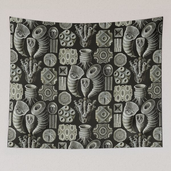 Item preview, Ernst Haeckel - Tetracoralla (Corals) designed and sold by ShaMiLaB.